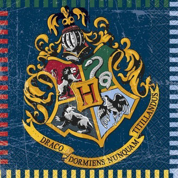 Immagine di Tovaglioli 33x33 cm Harry Potter 16 pezzi