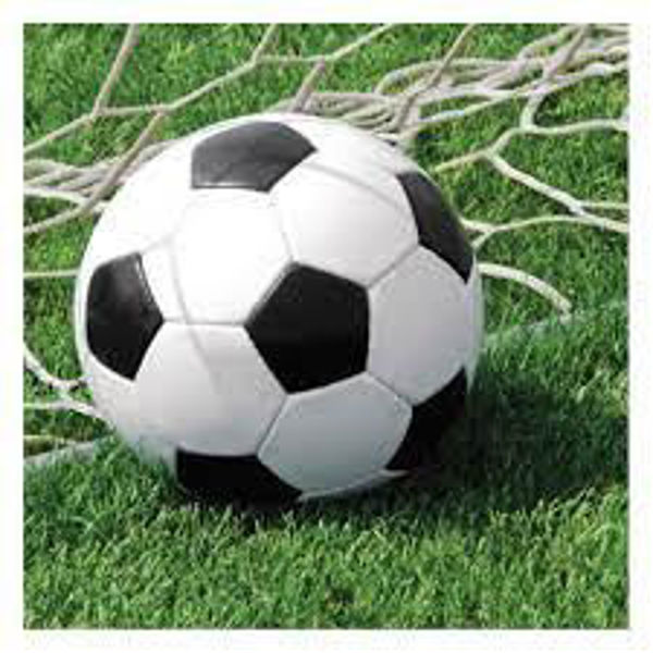 Immagine di Tovaglioli 32,7x32,3 cm Calcio 16  pezzi
