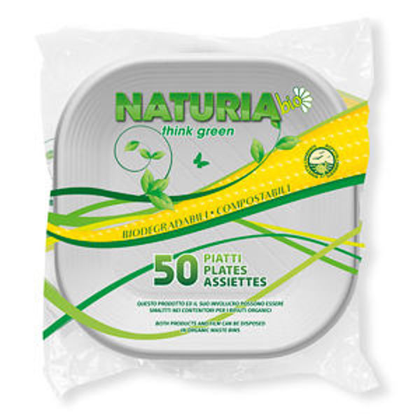 Immagine di Piatti Quadri 16,5 cm  PLA Bianco 50 pz - Biodegradabili - Compostabili