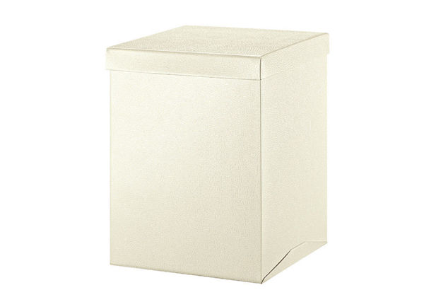 Immagine di Maxi Box in Cartoncino 34,5x34,5x50 cm Pelle Bianco