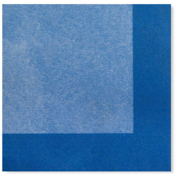 Immagine di Tovaglioli 33x33 cm Bicolor Blu 20 pezzi