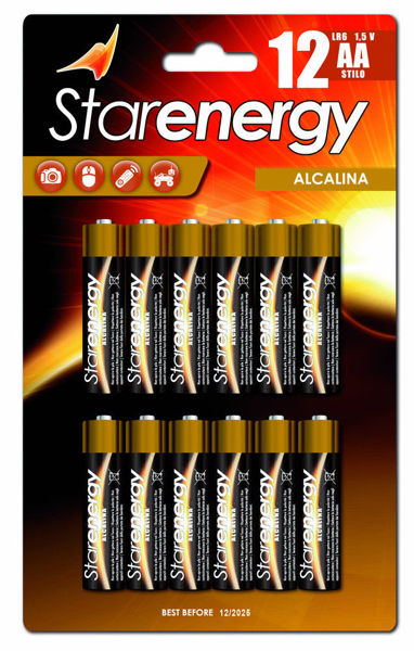 Immagine di Batterie Stilo AA 1,5 V Alcaline 12 pz
