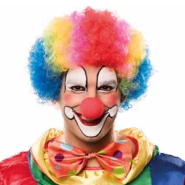 Immagine di Parrucca Riccia da Clown Multicolore