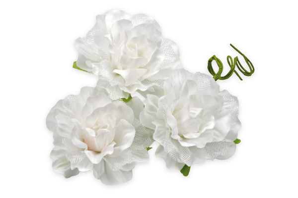 Immagine di Mazzetto 6 Roselline Sfumate Bianco 6x6 cm