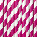 cannucce carta spirale bianco fucsia 19,5 cm partydeco