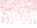 Immagine di Piume Decorative Rosa in confezione da 3 grammi