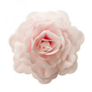 Immagine di Rosa Gigante in Ostia 12,5 cm colore Rosa