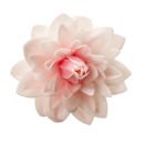Immagine di Dalia Gigante in Ostia 12,5 cm colore Rosa