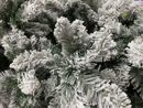 Immagine di Albero di Natale Uragano Innevato 210 cm