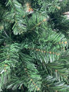 Immagine di Albero di Natale Uragano 150 cm