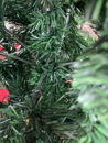 Immagine di Albero di Natale Uragano 180 cm