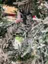 Immagine di Albero di Natale Slim Stelvio Innevato 210 cm