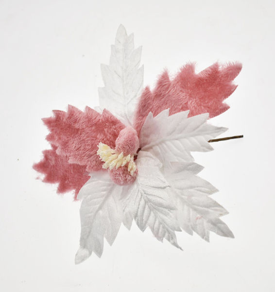 Immagine di Fiore con gambo corto Rosa e Bianco