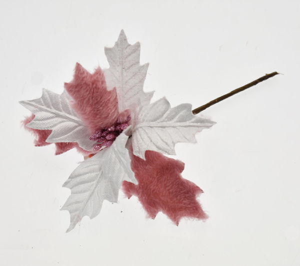 Immagine di Fiore piccolo con gambo corto Rosa e Bianco