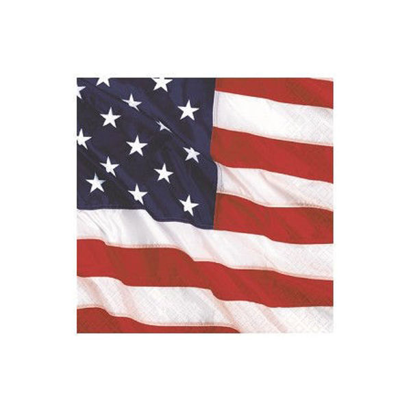 Tovaglioli 25x25 cm Bandiera USA 16 pezzi