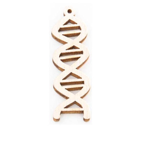 Applique Laurea DNA in legno altezza 5 cm 24 pezzi