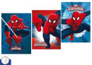 Maxi Quaderno Spiderman rigo C