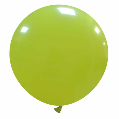 Palloncini Colorati - PALLONCINI in LATTICE 5' VERDE BOSCO 100 pz.