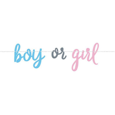 Partycolare- Boy or Girl?