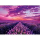 Puzzle 1000 High Quality Collection Lavender Field