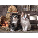 Puzzle 1000 High Quality Collection Lovely Kittens