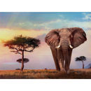 Puzzle 500 High Quality Collection African Sunset