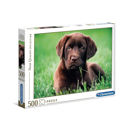 Puzzle 500 High Quality Collection Chocolate Puppy