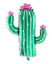 Palloncino Mylar Cactus 60x82 cm