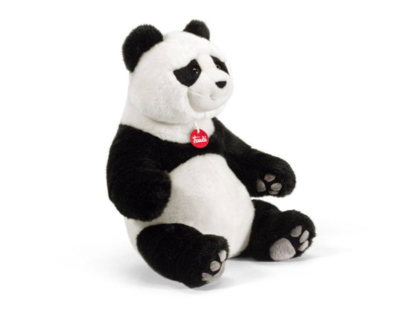 Panda Kevin