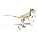 Archeogiocando Velociraptor