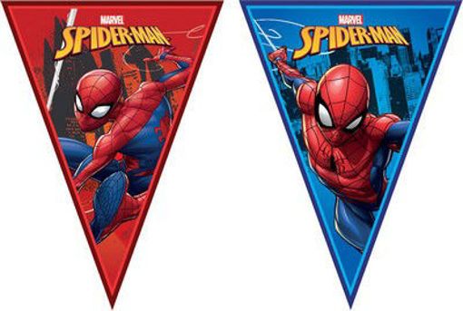 Bandierine triangolari Spiderman 2,30 metri