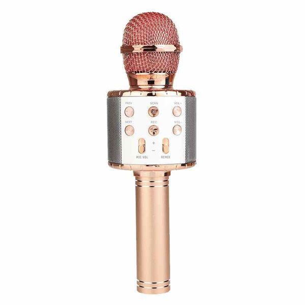 Microfono Karaoke Rosa Gold