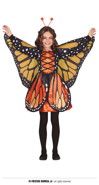 BUTTERFLY, INFANTILE, 5 – 6 ANNI