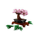 Albero Bonsai