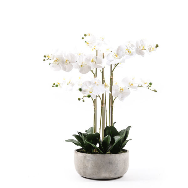 Immagine di Orchidea Real Touch in vaso bianco 75 cm