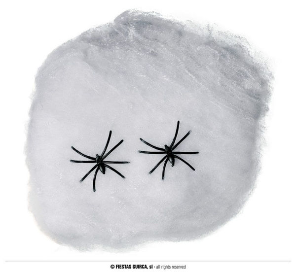Immagine di Ragnatela bianca 40 grammi