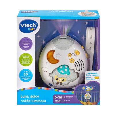 VTech Baby - Libro per imparare l'inglese - Le mie prime 100 parole