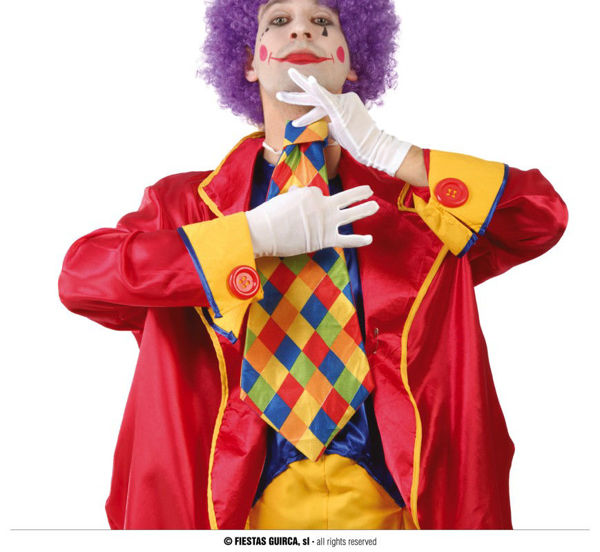 Immagine di Cravatta Clown Scacchi 30 cm