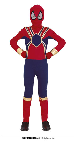 Costume Spider Hero