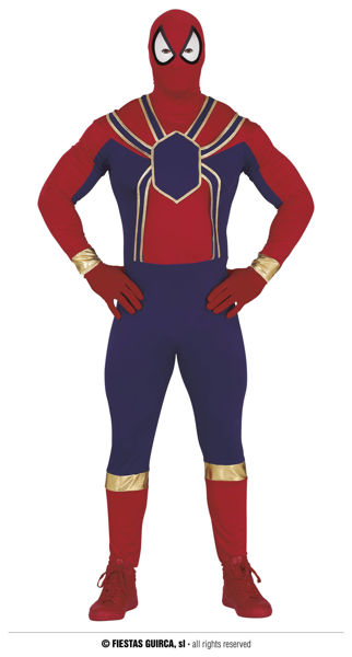 Costume Spider Hero