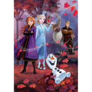 Puzzle 60 Maxi Frozen