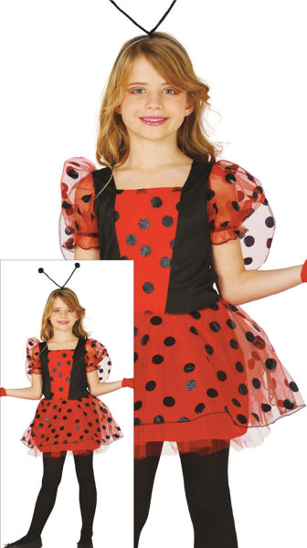 Immagine di Costume Coccinella taglia 3/4 anni