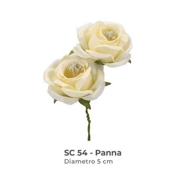 Immagine di Mazzetto 6 Rose con pistilli Panna 5 cm