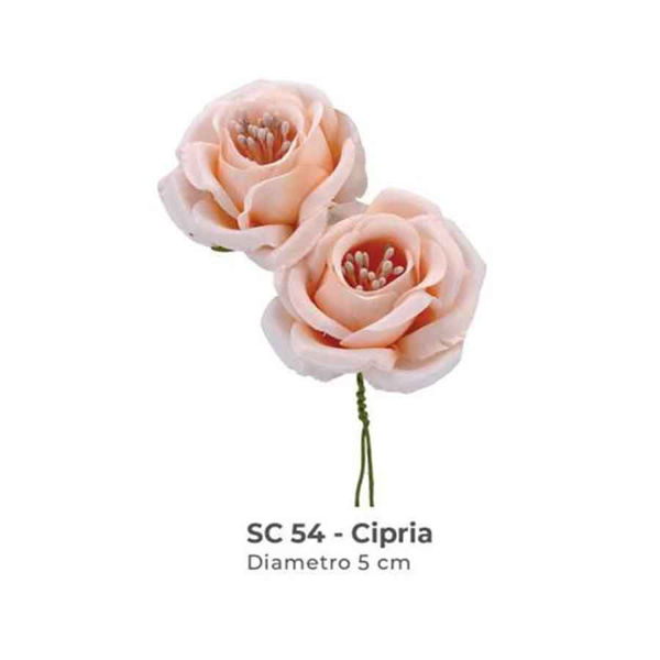 Immagine di Mazzetto 6 Rose con pistilli Cipria 5 cm