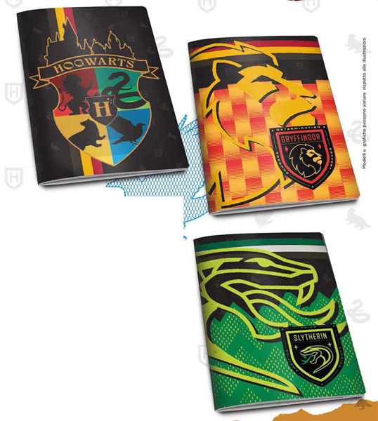 Maxi quaderno Harry Potter 5 mm con copertina rigida – Grafiche assortite