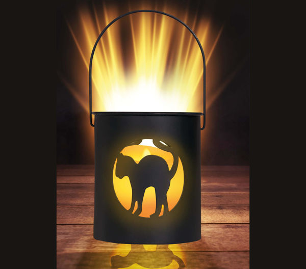 Lanterna con gatto LED 10x9 cm accesa, luce notturna per bambini