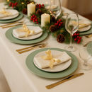 Sottopiatto liscio verde salvia in plastica diametro 33 cm