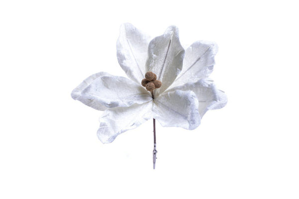 Immagine di Magnolia bianca in poliestere