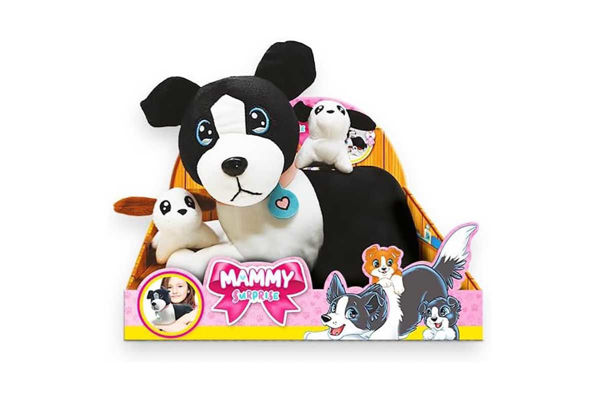 Mammy Surprise Cagnolina Border Collie con cuccioli a sorpresa