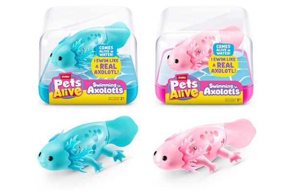Immagine di Axolotl Nuota Davvero – Pets Alive